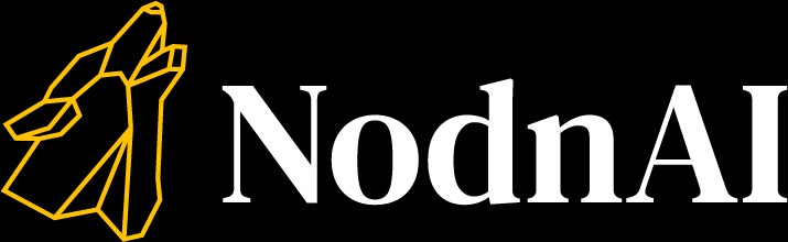 NodnAI